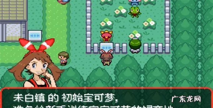 究极绿宝石4海岛怎么出去,究极绿宝石海岛怎么出去