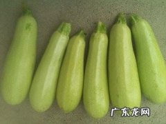 西葫芦炒鸡蛋怎么做好吃,西葫芦炒鸡蛋怎么炒