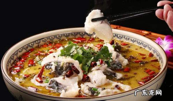 酸菜鱼属于哪一个菜系,酸菜鱼是哪个地方的菜系