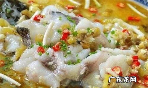 酸菜鱼属于哪一个菜系,酸菜鱼是哪个地方的菜系
