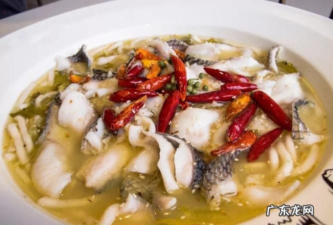 酸菜鱼属于哪一个菜系,酸菜鱼是哪个地方的菜系