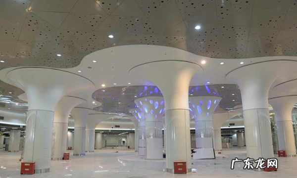 中国最大的地铁在哪里,中国地铁最多的城市