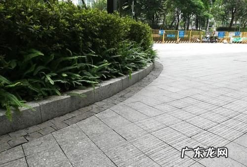 路缘石与路沿石有什么区别,路缘石和路肩石的区别