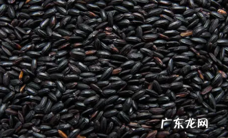 黑米饭怎么蒸才能软糯,怎样蒸黑米饭软