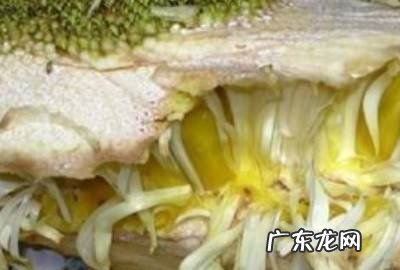 菠萝蜜中间的芯怎么去,菠萝蜜中间的芯怎么去