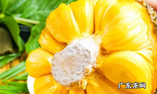 菠萝蜜中间的芯怎么去,菠萝蜜中间的芯怎么去