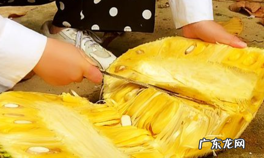 菠萝蜜中间的芯怎么去,菠萝蜜中间的芯怎么去