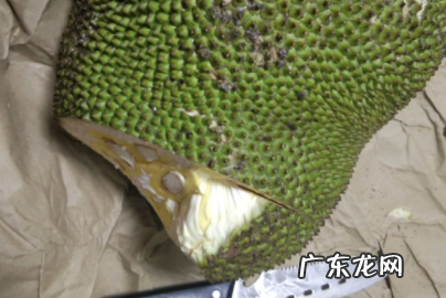 菠萝蜜中间的芯怎么去,菠萝蜜中间的芯怎么去