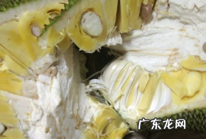 菠萝蜜中间的芯怎么去,菠萝蜜中间的芯怎么去