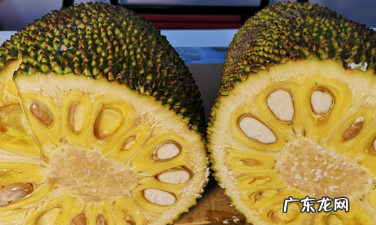 菠萝蜜中间的芯怎么去,菠萝蜜中间的芯怎么去