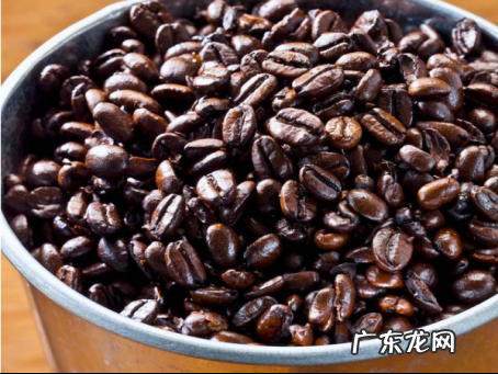 咖啡豆可以直接吃,咖啡豆怎么喝