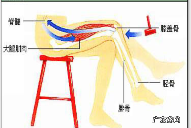 击属于什么结构,击字是什么结构的字