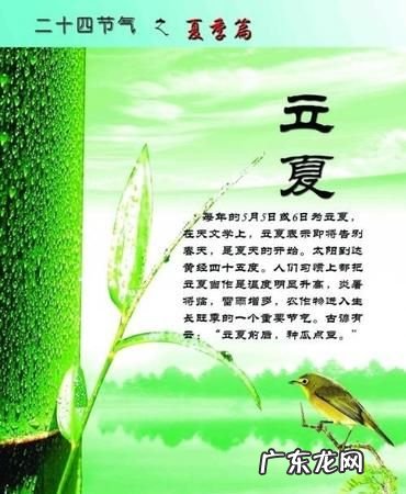 关于的立夏的句子,立夏句子有哪些