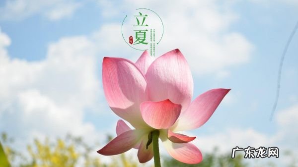 关于的立夏的句子,立夏句子有哪些