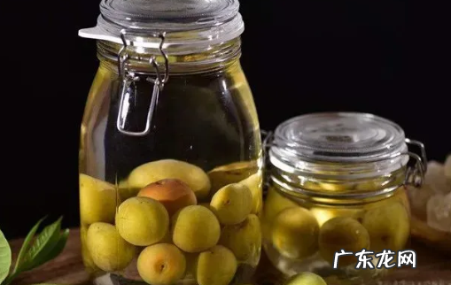 红李子酿酒制作方法,李子酒的泡制方法 李子酒的泡制步骤