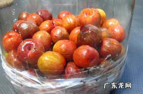 红李子酿酒制作方法,李子酒的泡制方法 李子酒的泡制步骤