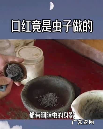 口红是什么虫子做成的,口红的原材料是虫子
