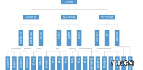 组织机构类型有哪些,组织架构有几种模式图