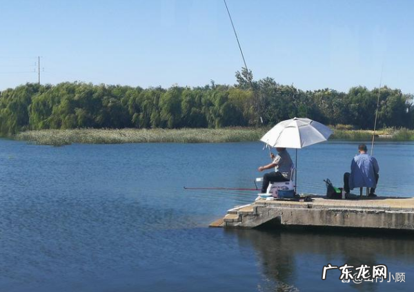 鱼杆卡紧了怎样弄,鱼竿卡住了收不回去怎么办