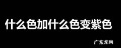什么颜色相加等于紫色,什么色加什么色变紫色的比例