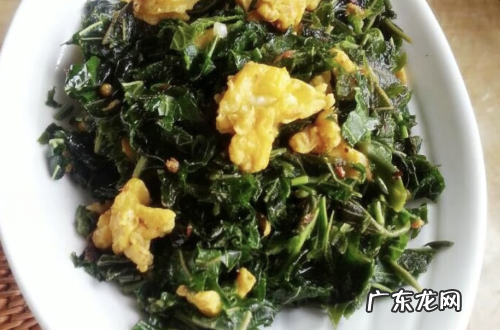 桑叶怎么做好吃,桑叶怎么吃