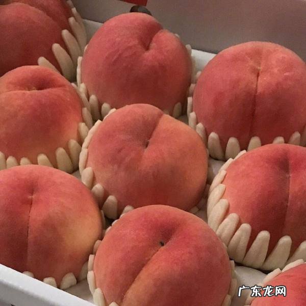 桃子里面长虫子的原因,桃子里面有蛆虫是怎么回事怎么防治