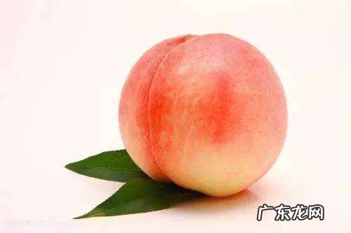 桃子里面长虫子的原因,桃子里面有蛆虫是怎么回事怎么防治