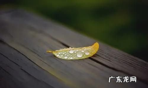 生活顺其自然是什么意思,顺其自然是什么意思