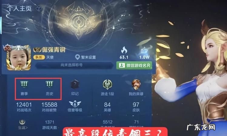 青铜王者是什么,青铜王者那句话怎么说