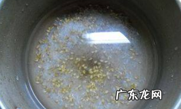 大麦仁怎么煮粥,麦仁粥的做法大全
