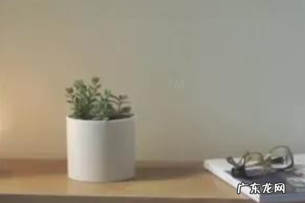 绳在什么冰在什么,绳子细处断冰在薄处裂仿写一句表现思想方法的谚语