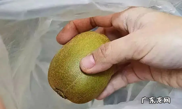 猕猴桃不熟怎么催熟,猕猴桃不熟怎么处理才能吃