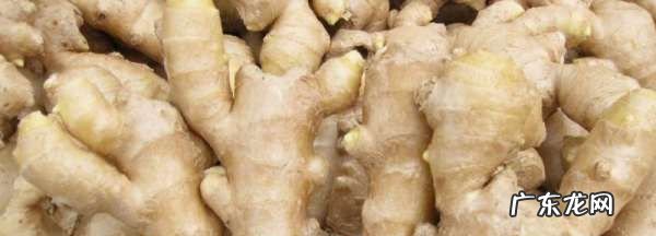 生姜放冰箱冷冻保存,生姜可以冷冻保存