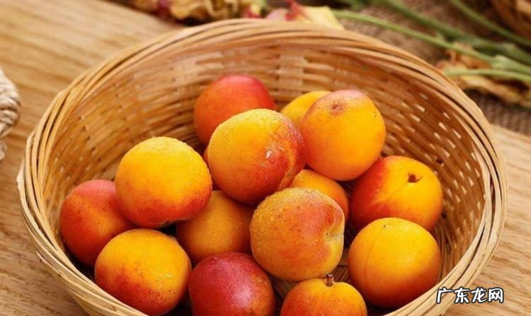 吊干杏要削皮吃,吊干杏的产地是哪里