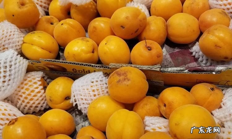 吊干杏要削皮吃,吊干杏的产地是哪里