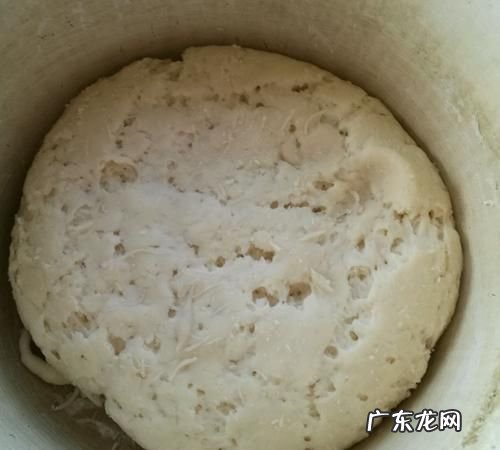 和面放酵母起什么作用,酵母在面包中的作用