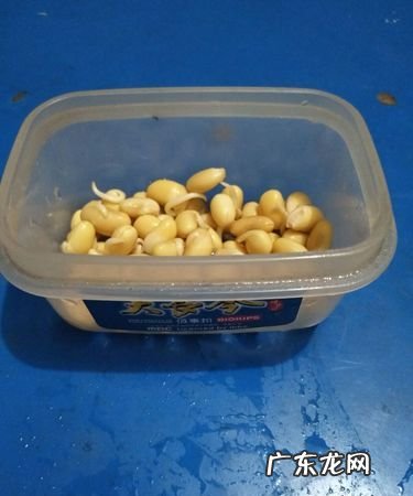 豆子发芽了能吃,发芽的黄豆能吃