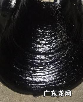 沥青加什么防水不开裂,怎么样用沥青补漏补顶层的渗水