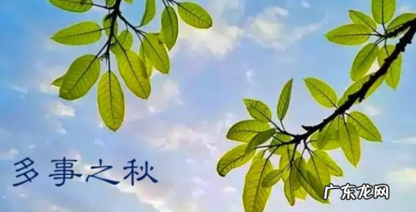 多事之秋下一句是什么,多事之秋的下一句是什么