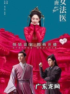 大唐女法医一周更新几集,《大唐女法医完结》txt在线阅读全文百度网盘云资源