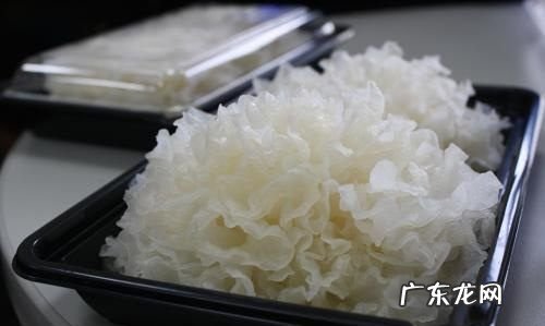 鲜银耳放冰箱可以保存多久,鲜银耳放冰箱保鲜几天还可以吃