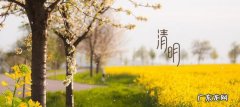 清明节去哪里踏青,清明去哪里踏青比较好