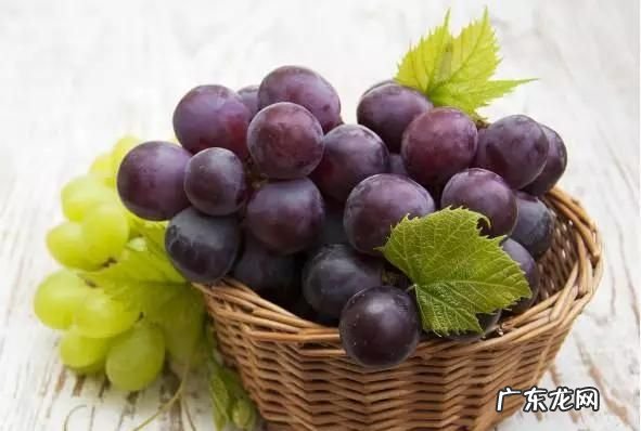 吃葡萄可以不吐籽,吃葡萄不吐籽为什么会有利于抗癌