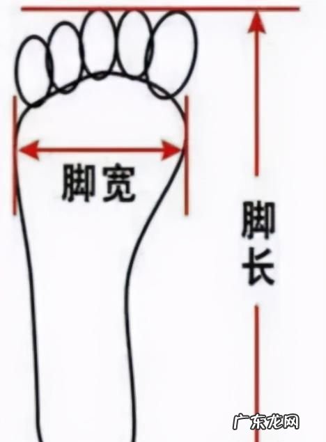 脚围指的是什么,衣服脚围指的是什么