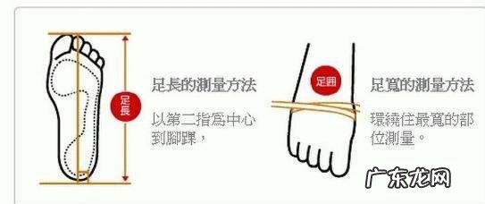 脚围指的是什么,衣服脚围指的是什么