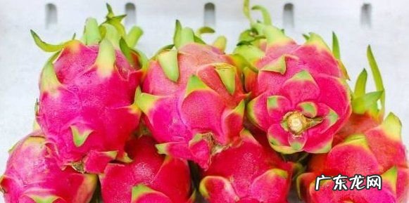 火龙果适不适合放冰箱,火龙果可以放入冰箱保存