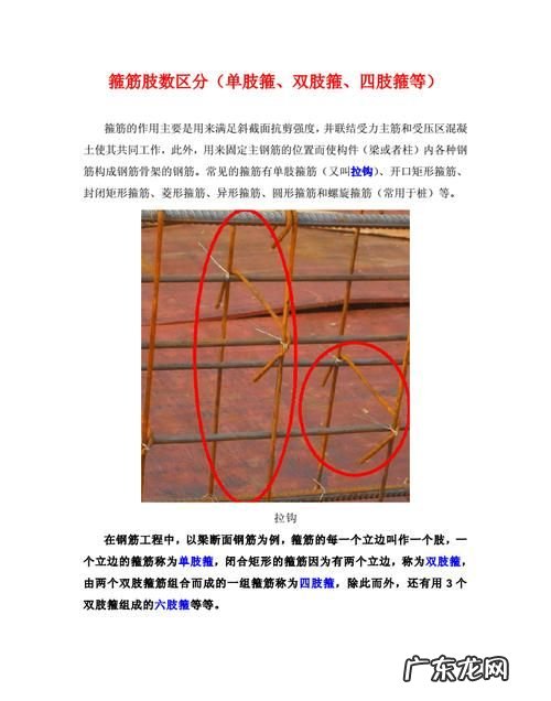 怎么看箍筋是几肢箍,如何判断钢筋要用几排