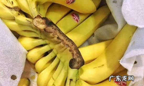 香蕉可否剥皮后放冰箱冰冻,香蕉剥皮放冰箱冷藏能放多久