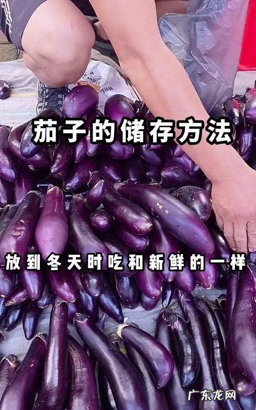 茄子储存到冬天的几种方法,茄子储存到冬天的几种方法文库