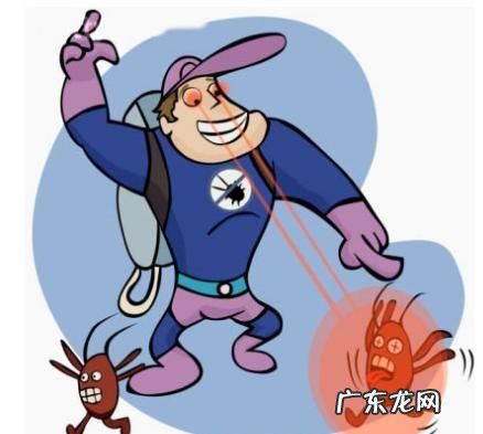 怎样快速消灭蟑螂,怎样消灭蟑螂最有效的方法
